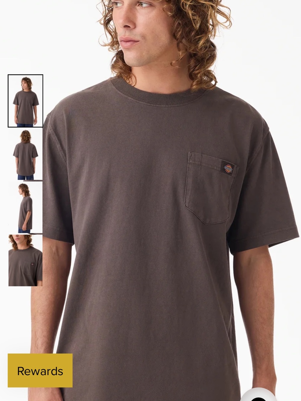 Dickies Men’s Short Sleeve Pocket T-Shirt in Dark Brown